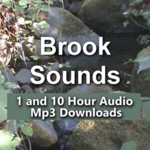 Trickling Creek Sounds