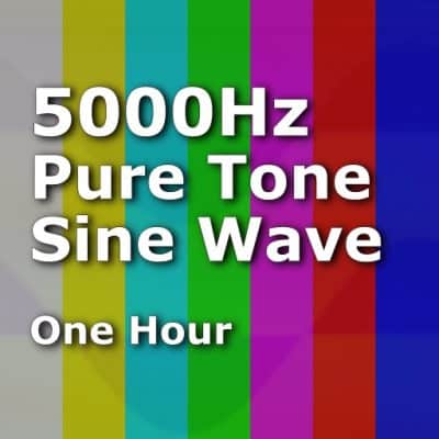 Pure Sine Wave 5000Hz