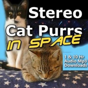 Cat Purrs Relaxing Ambient sound 1 and 10 hour Audio Downloads