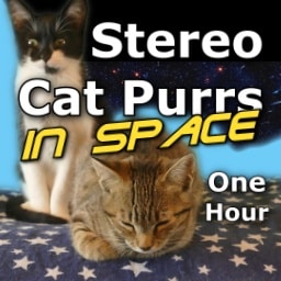 Cat Purr One Hour