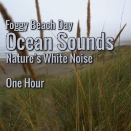 Beach Waves Sound Ambient