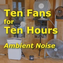 10 Fans Ambient Noise