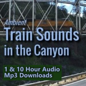 Rumbling Railroad Sounds in a deep granite canyon