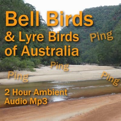 Bell Birds and Lyre Birds Two Hours Ambient