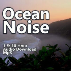 Ocean Noise