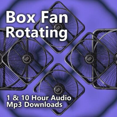 Rotating Box Fan Noise