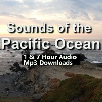 Pacific Ocean Sounds