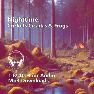 Crickets Cicadas and Frogs Noise Masking