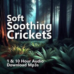 A graphic for "Soft Soothing Crickets," showing a serene, misty forest with green ferns and large trees.
