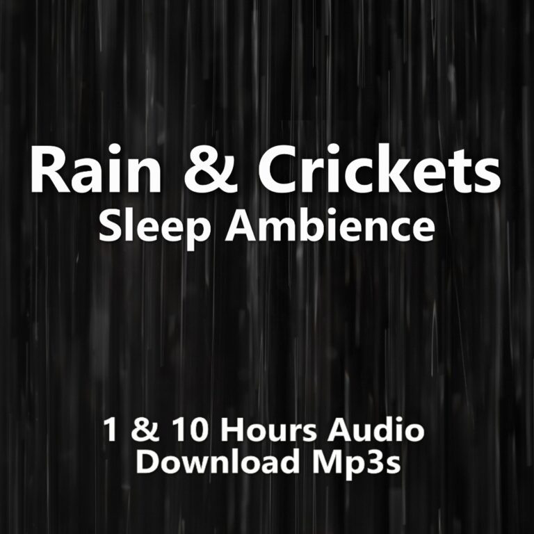 A graphic for "Rain & Crickets," showing a dark, vertical background with blurry streaks of rain.