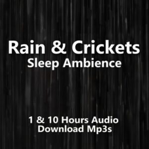 A graphic for "Rain & Crickets," showing a dark, vertical background with blurry streaks of rain.