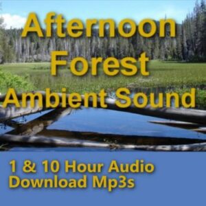 A graphic for "Afternoon Forest Ambient Sound," showing a peaceful forest scene with a pond or lake.
