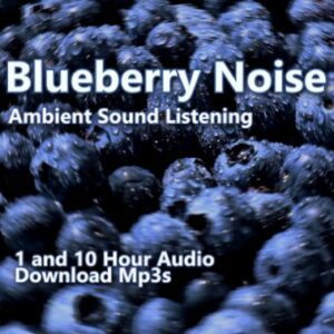 A close-up image of blueberries with water droplets, serving as a graphic for "Blueberry Noise."