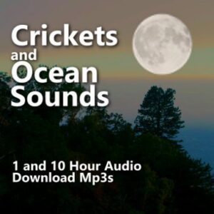 A graphic for Crickets and Ocean Sounds audio downloads, showing a moon over a forest and ocean.