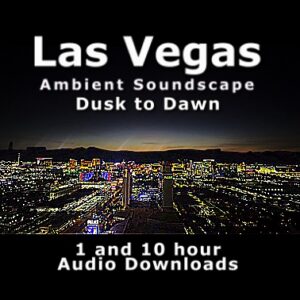 Nighttime Las Vegas panoramic skyline from the 40th floor with professional audio download text for sleep and tinnitus relief.